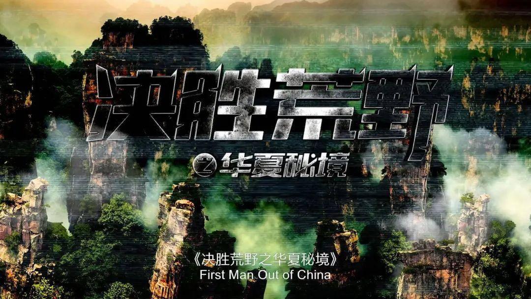 小猫钓鱼游戏龙王版有船